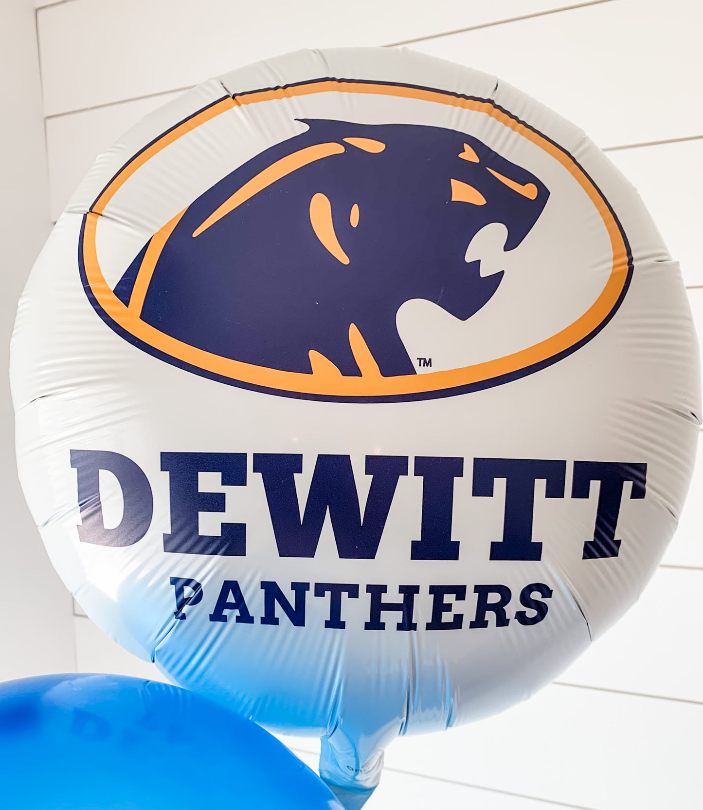 DeWitt Panther - Custom Balloons