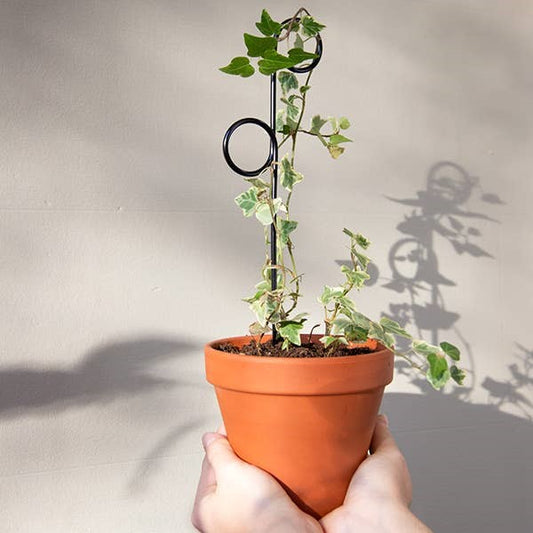 Mini Plant Stake - Perch