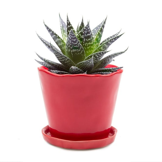 Tika 5" Ceramic Pot - Red