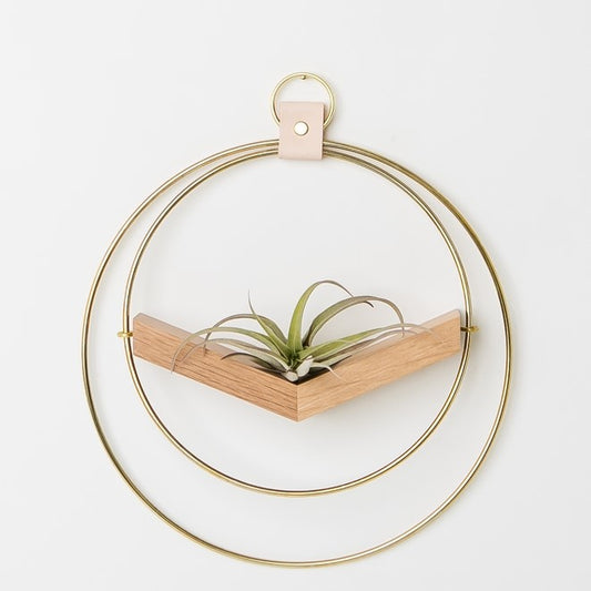 V-Hanger Air Plant Holder - Gold