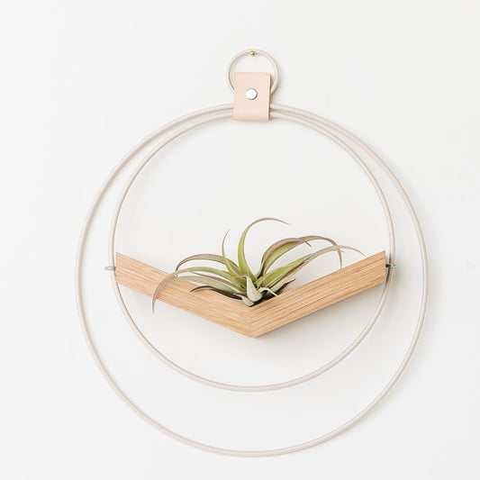 V-Hanger Air Plant Holder - White