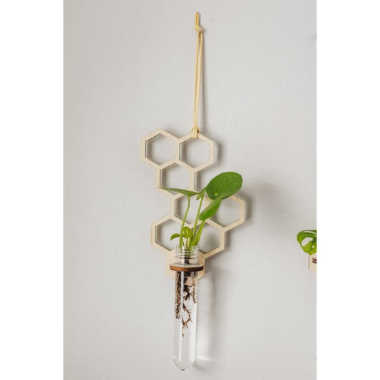 Honeycomb Hanging Propagation Station