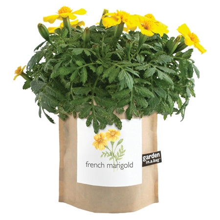 Garden in a Bag - French Marigold