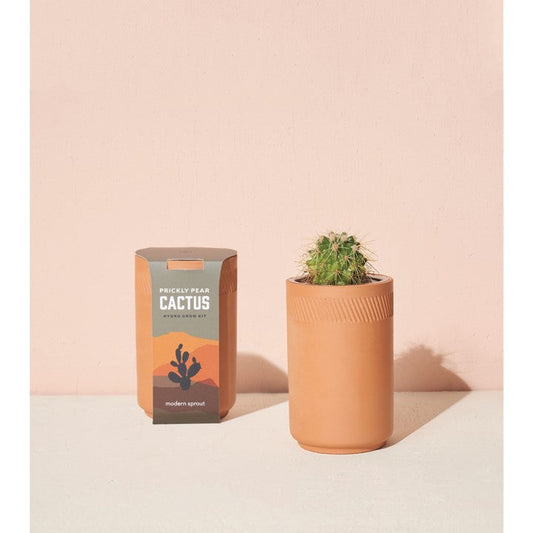 Tiny Terracotta - Cactus