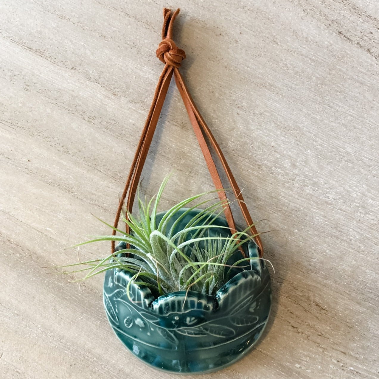 Ceramic Hanging Air Plant Holder - Multiple Colors Available