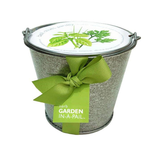 Garden in a Pail - Herb