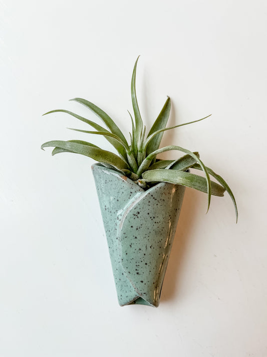 Cone Air Plant Holder