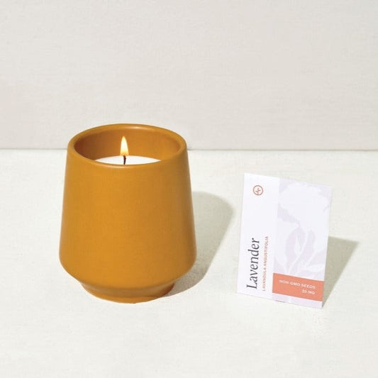 Lavender & Neroli Candle