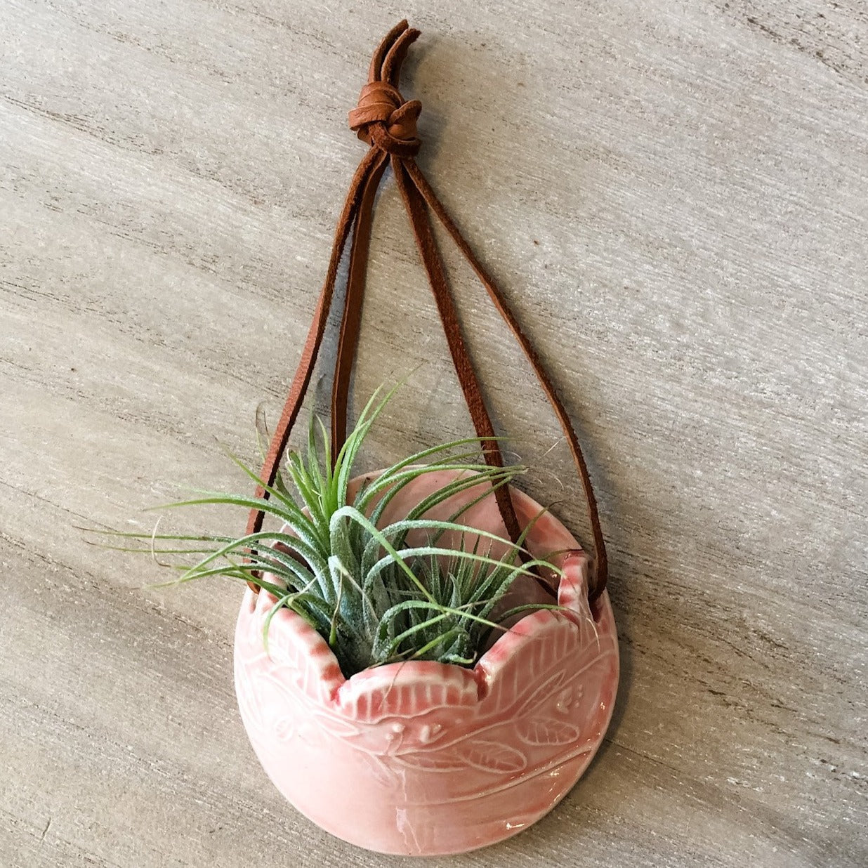 Ceramic Hanging Air Plant Holder - Multiple Colors Available