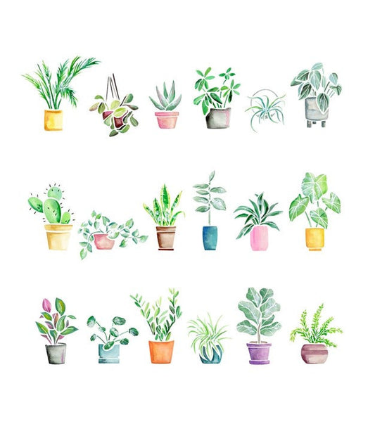 Pretty Plants Sampler Watercolor Print